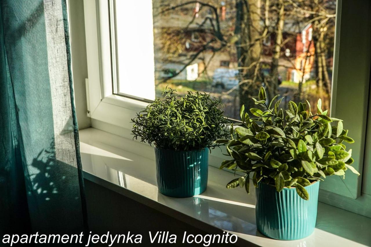 Apartament Jedynka Villa Incognito Szklarska Poręba Eksteriør billede